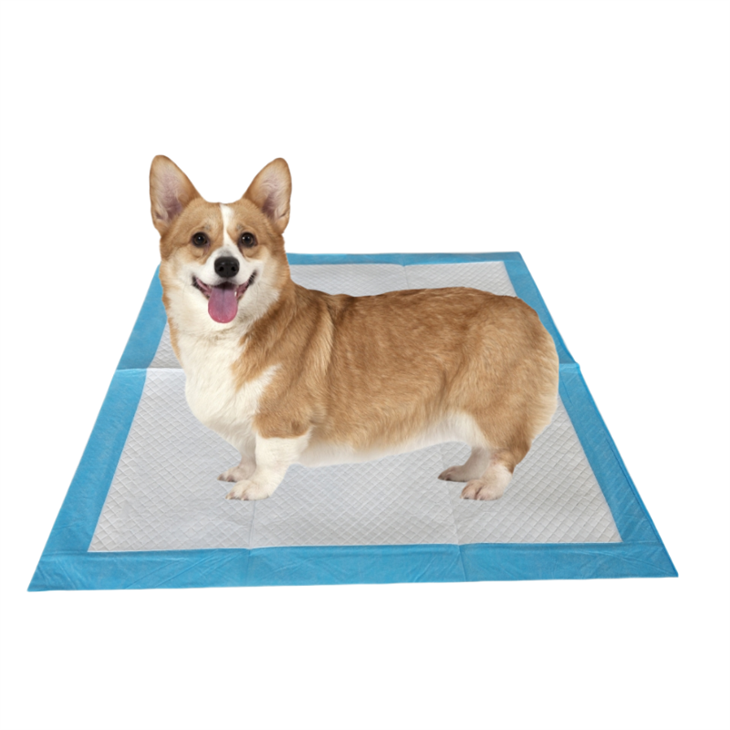 Jednorazowe podkładki toaletowe dla psów zapobiegające gryzieniu-