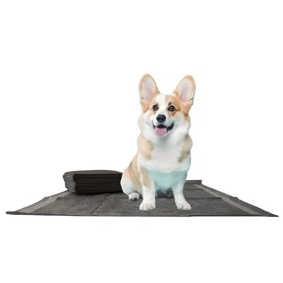 Jednorazowa podkładka do siusiu dla psa z bambusowego węgla drzewnego